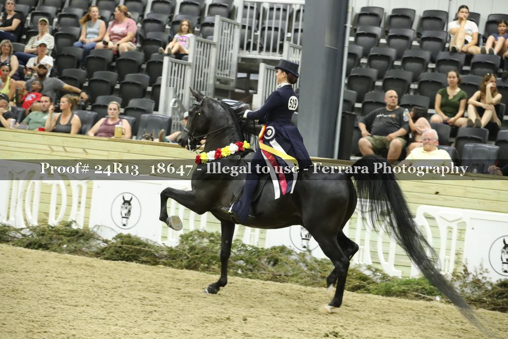 Proof 24R13_18647