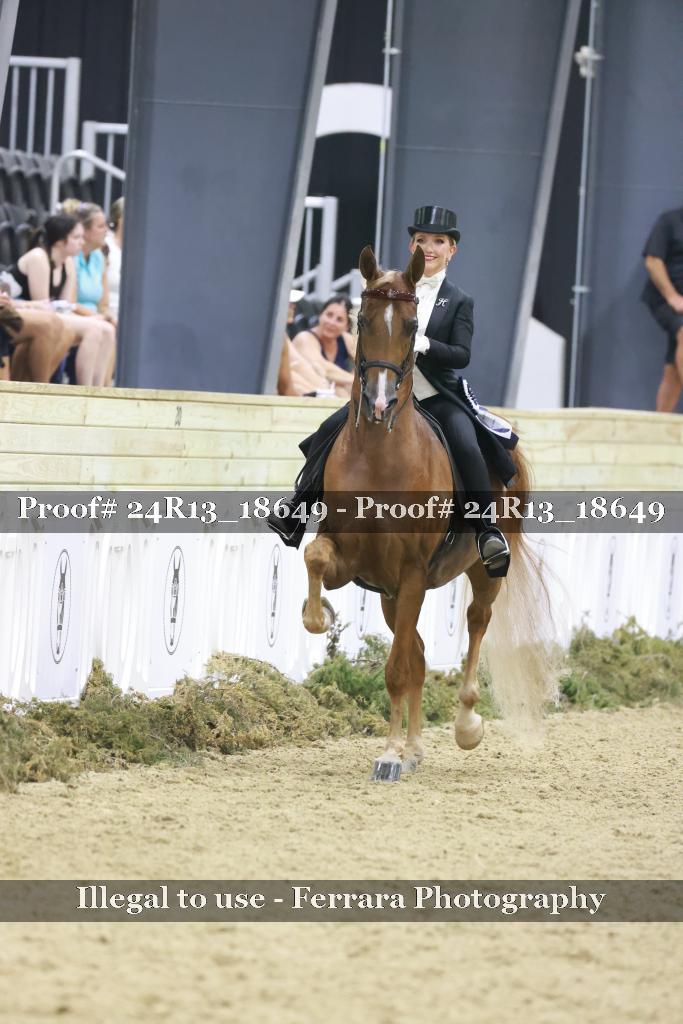 Proof 24R13_18649