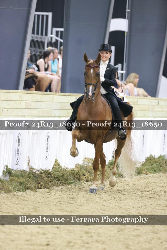 Proof 24R13_18650