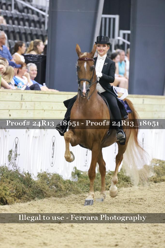 Proof 24R13_18651