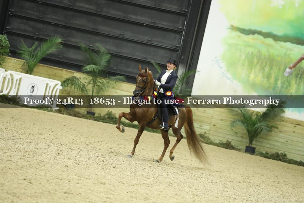Proof 24R13_18653