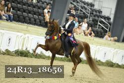 24R13_18656 proof