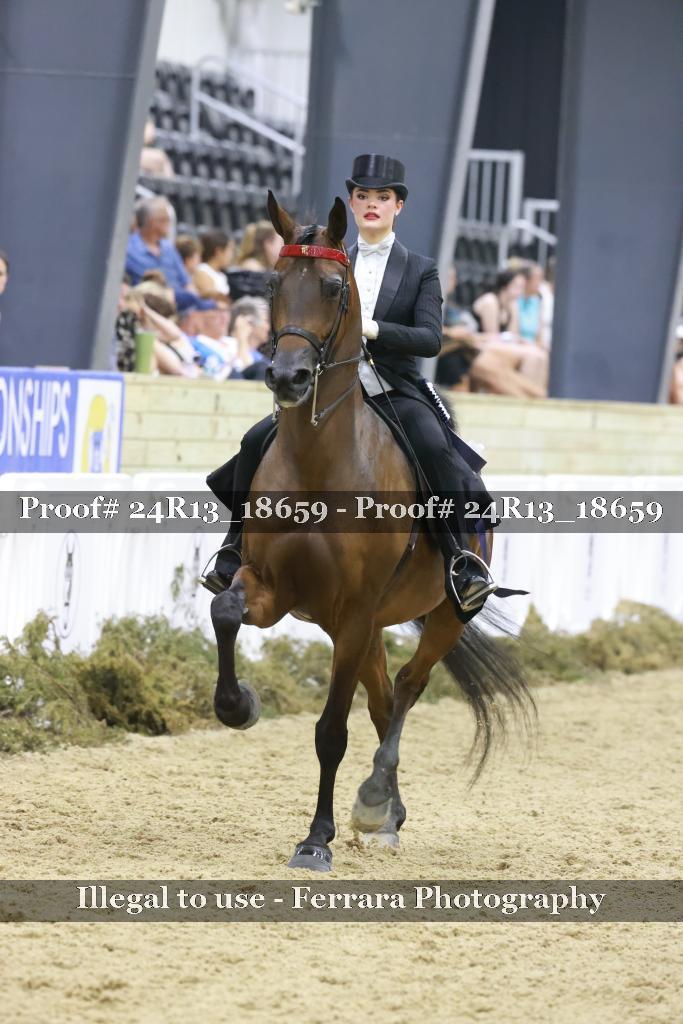 Proof 24R13_18659