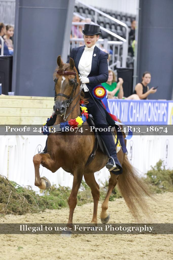 Proof 24R13_18674