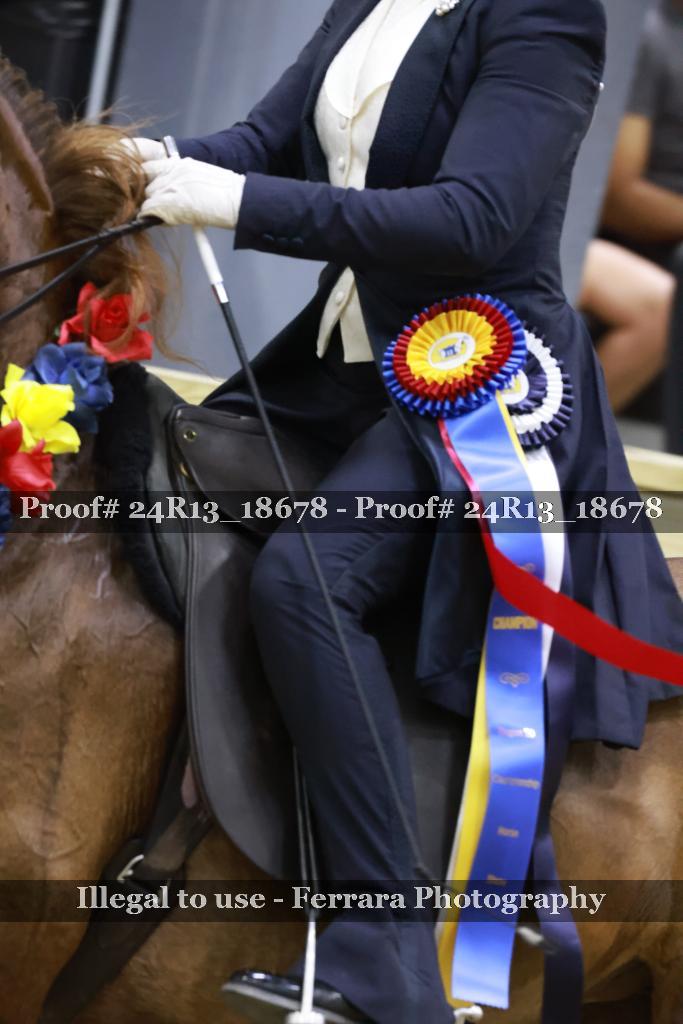 Proof 24R13_18678