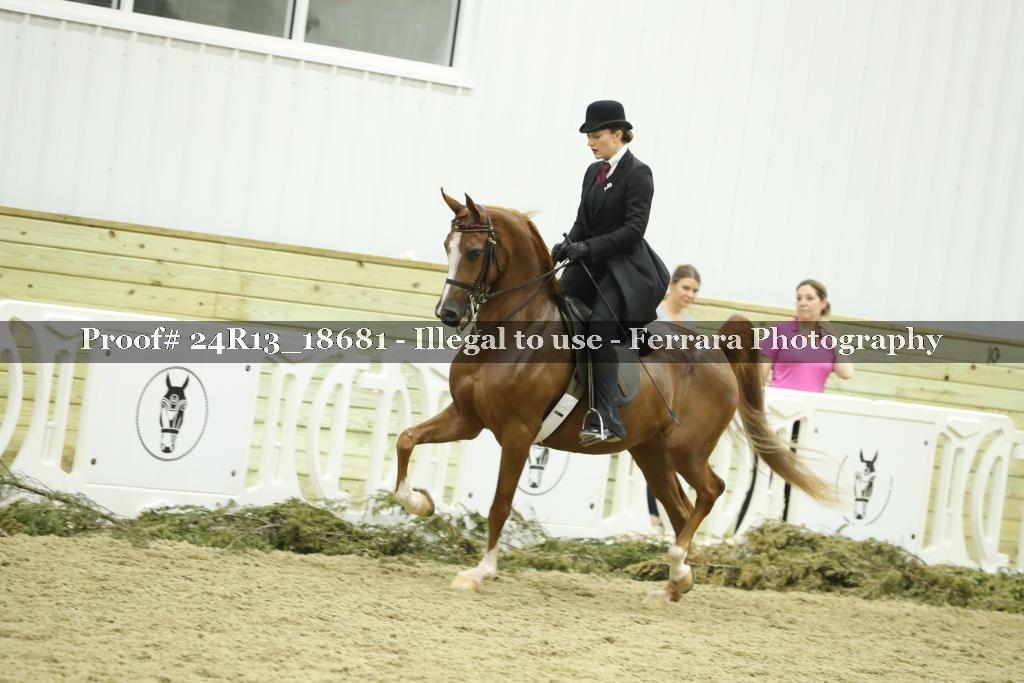 Proof 24R13_18681