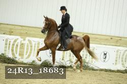 24R13_18683 proof
