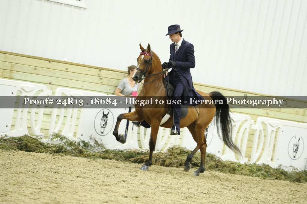 Proof 24R13_18684