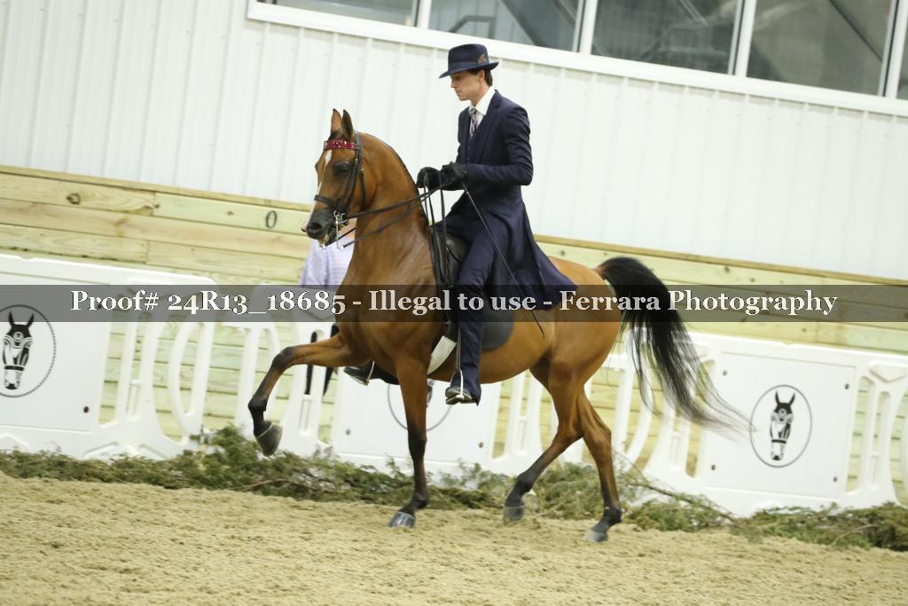 Proof 24R13_18685