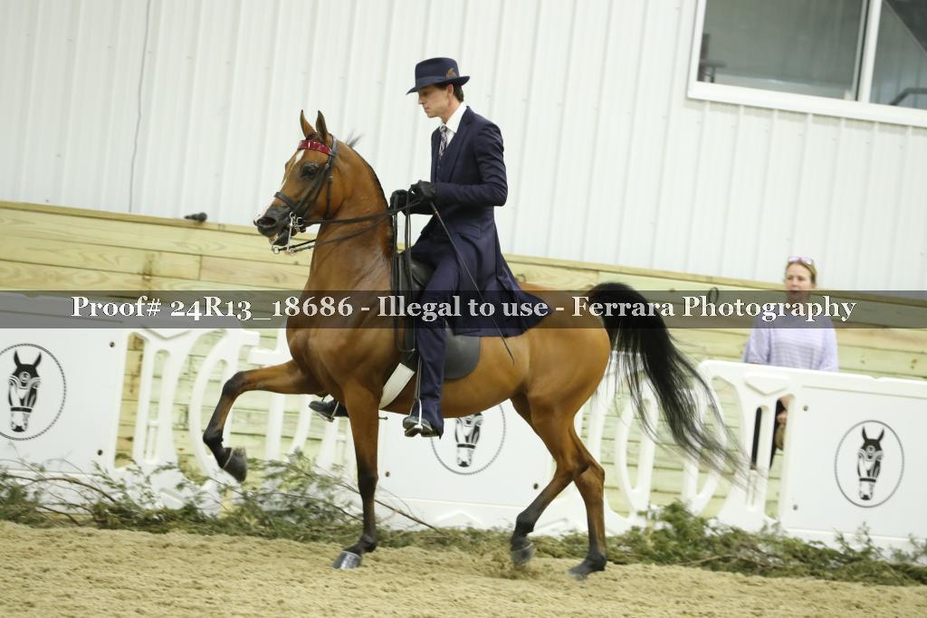Proof 24R13_18686