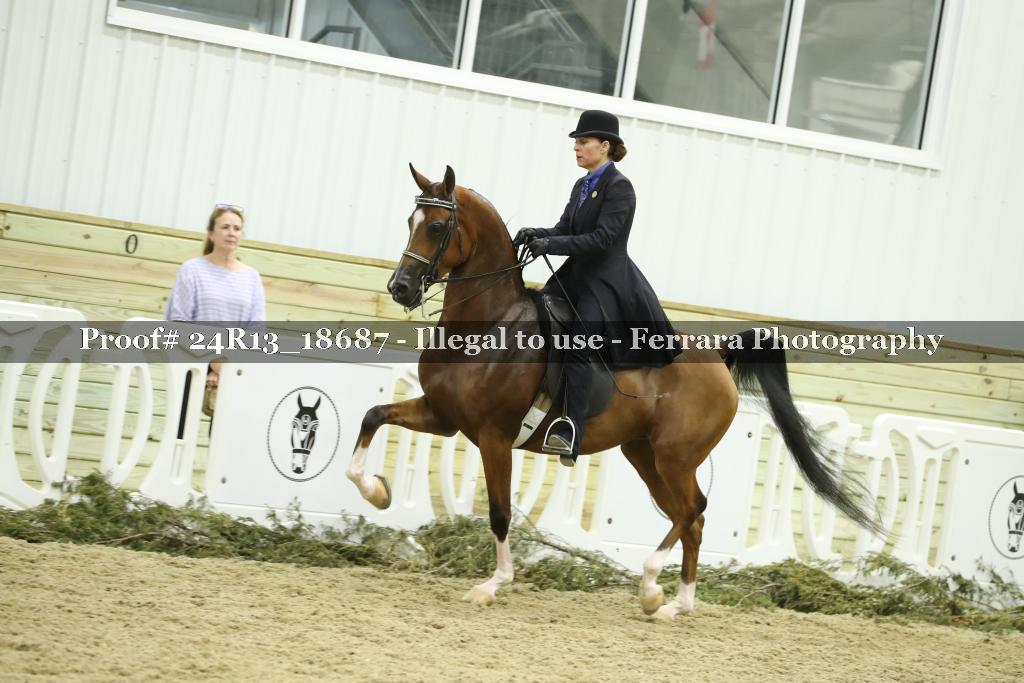 Proof 24R13_18687