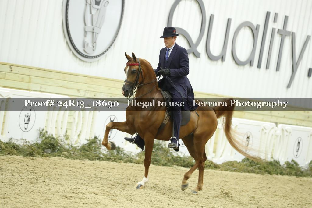 Proof 24R13_18690
