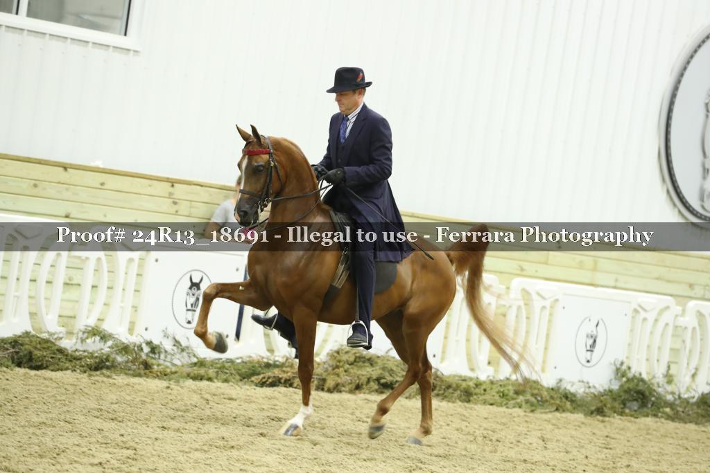 Proof 24R13_18691