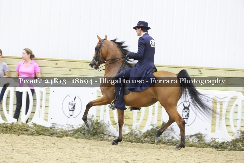 Proof 24R13_18694