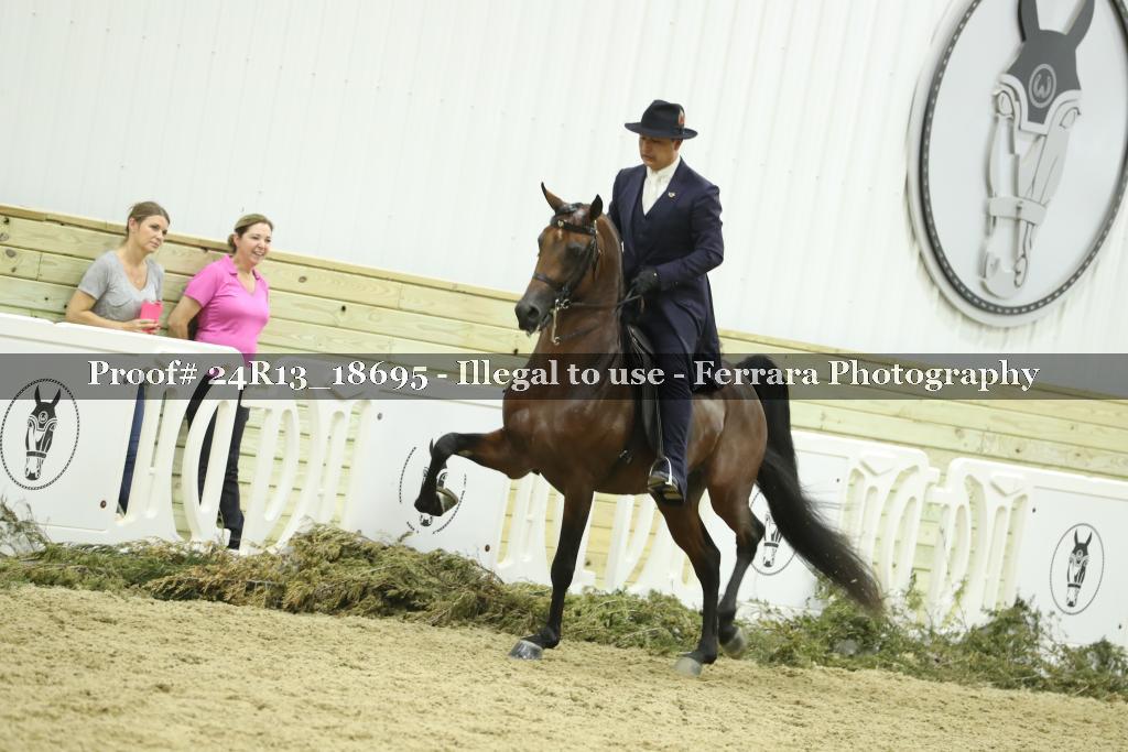 Proof 24R13_18695