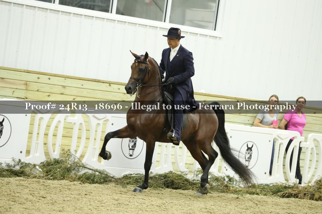 Proof 24R13_18696
