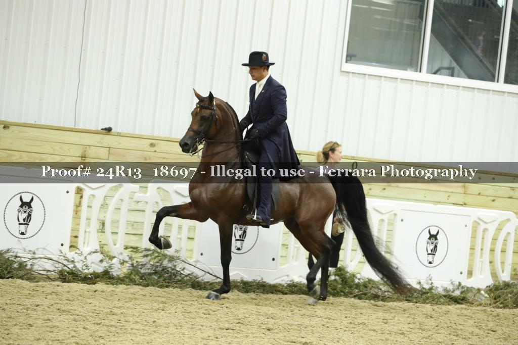 Proof 24R13_18697
