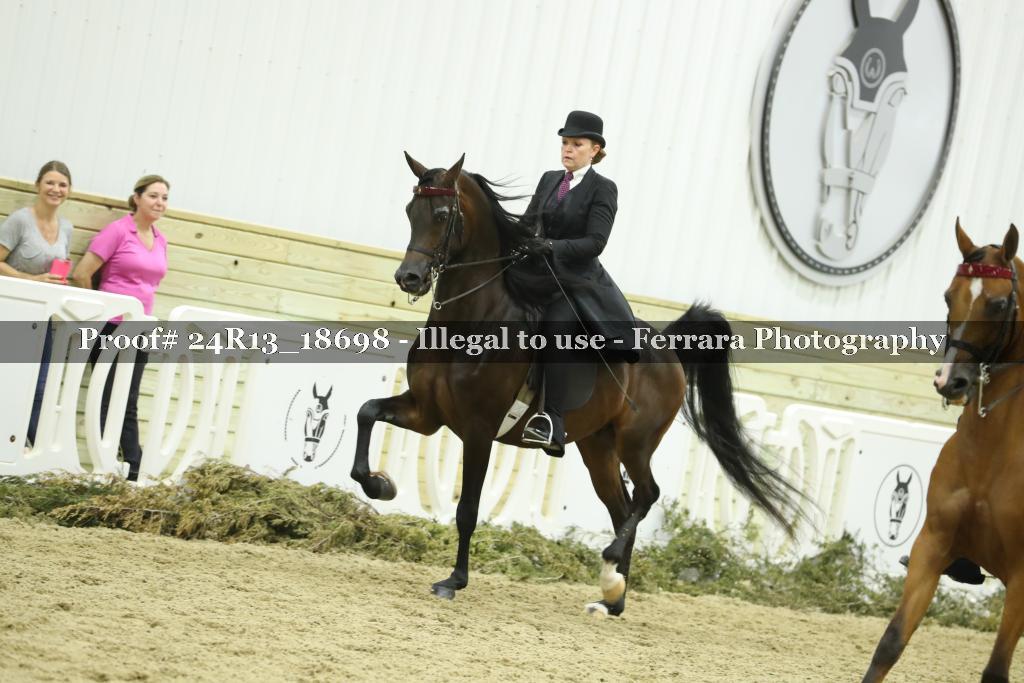 Proof 24R13_18698