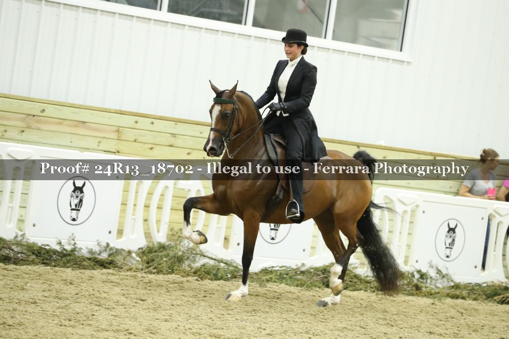 Proof 24R13_18702