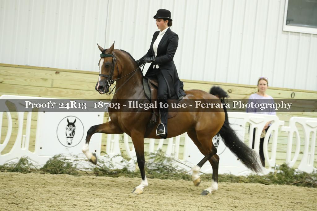 Proof 24R13_18703