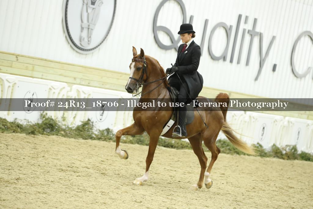 Proof 24R13_18706