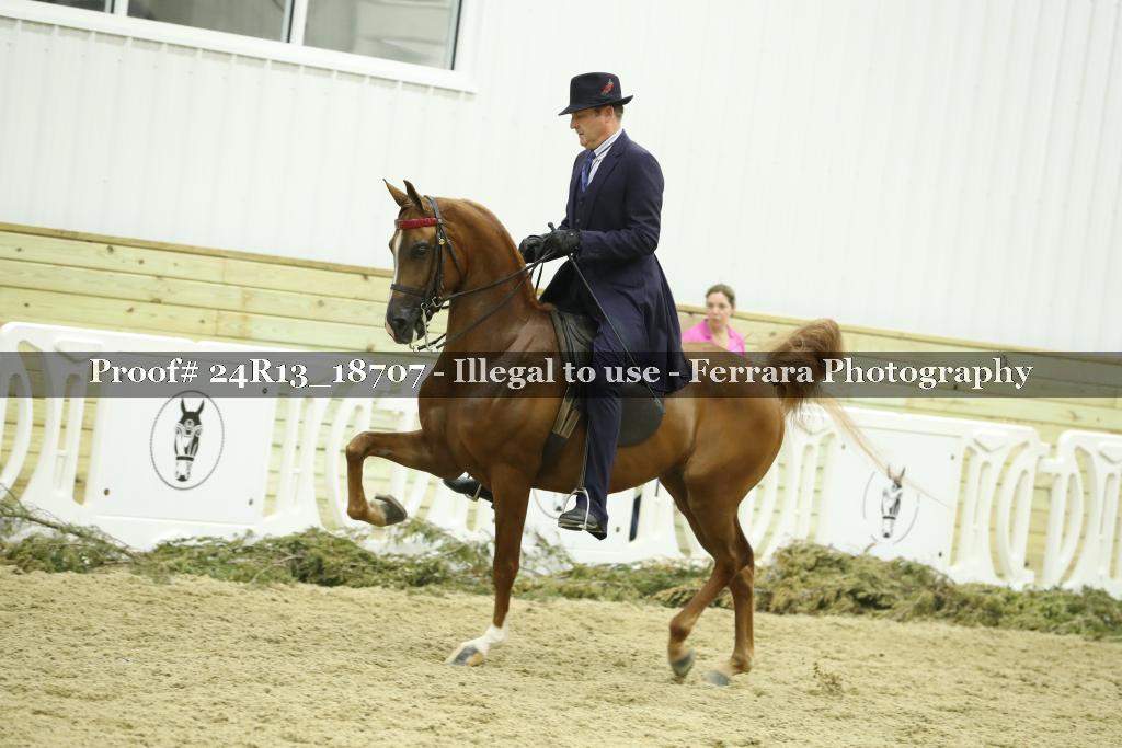 Proof 24R13_18707