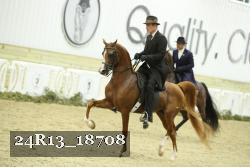 24R13_18708 proof