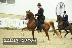 24R13_18709 proof