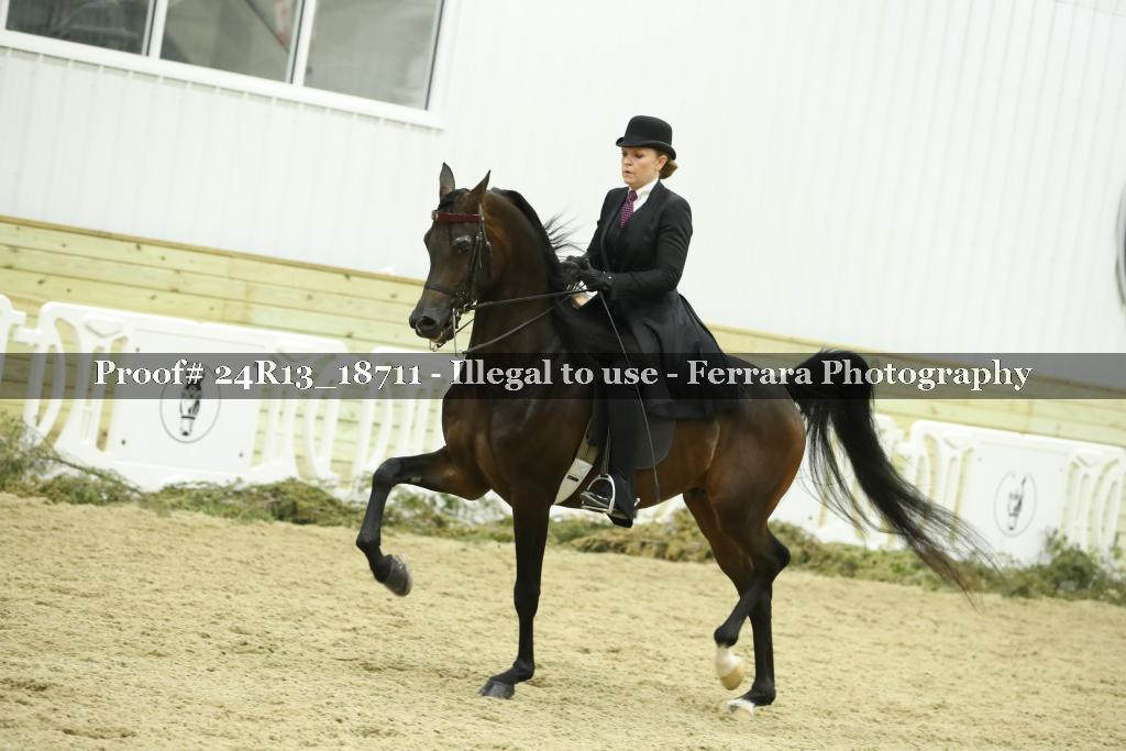 Proof 24R13_18711