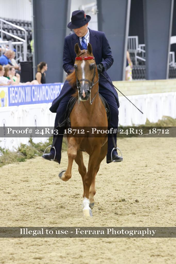 Proof 24R13_18712