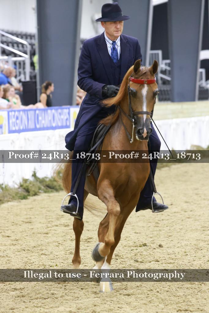 Proof 24R13_18713