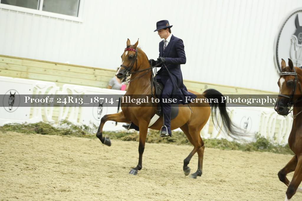 Proof 24R13_18714
