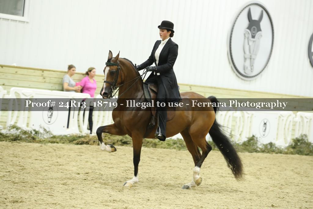 Proof 24R13_18719