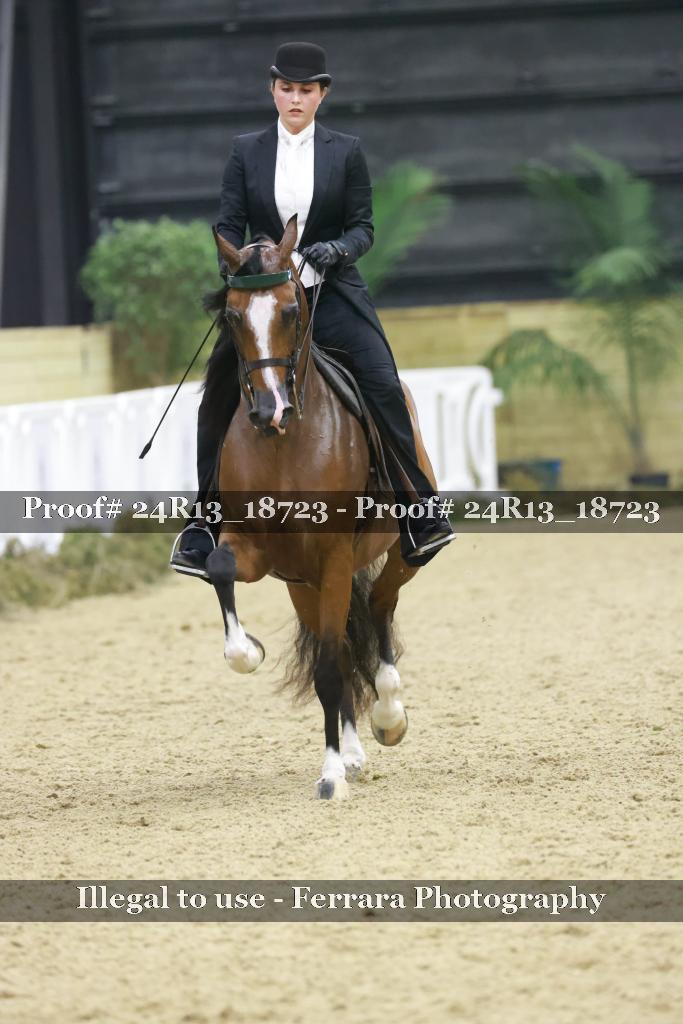 Proof 24R13_18723