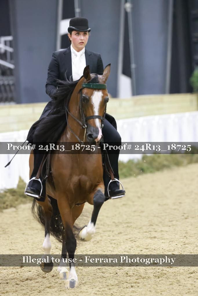 Proof 24R13_18725