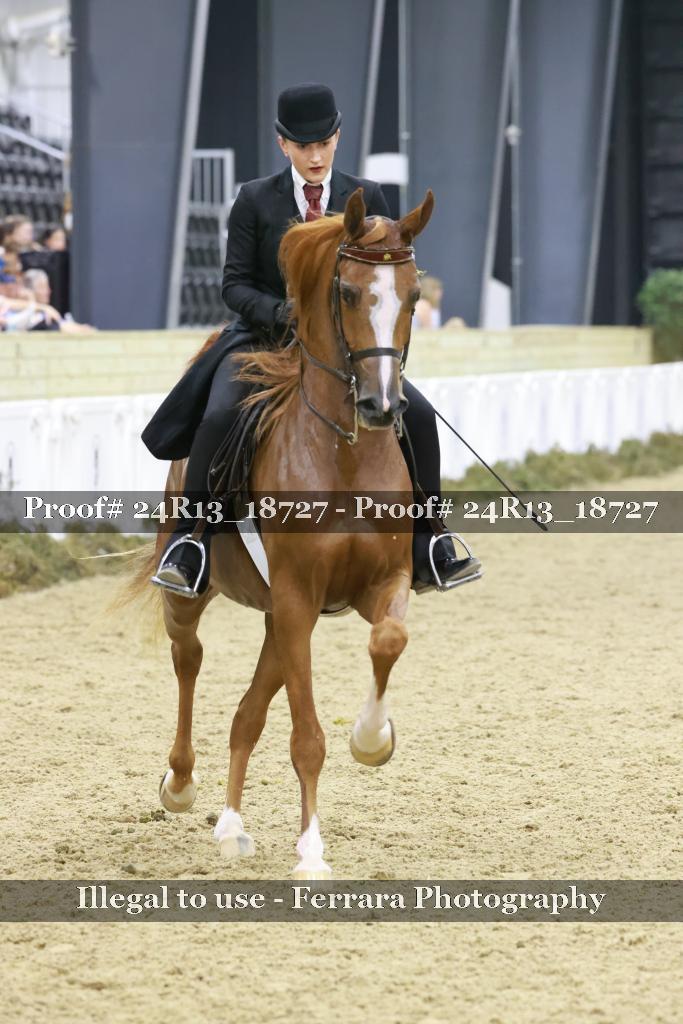 Proof 24R13_18727