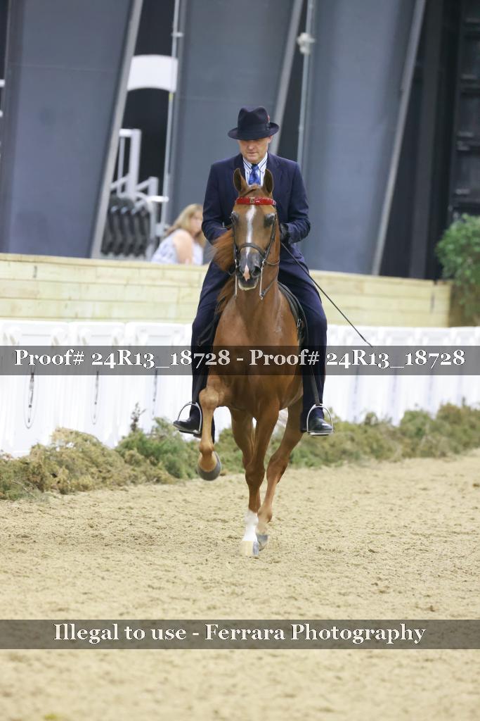 Proof 24R13_18728