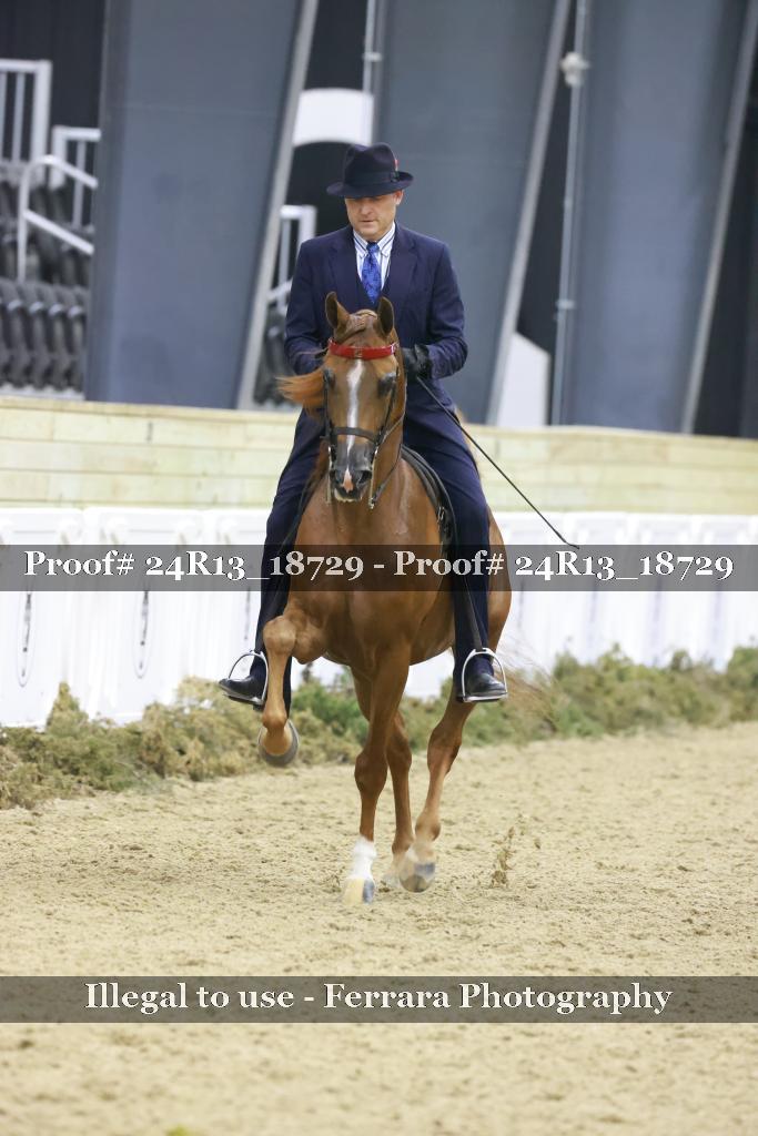 Proof 24R13_18729