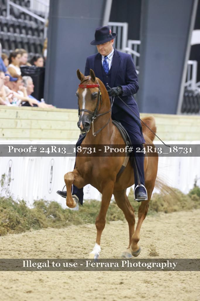 Proof 24R13_18731