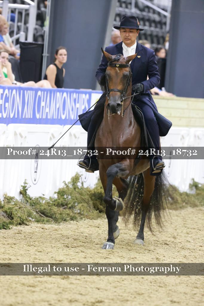 Proof 24R13_18732