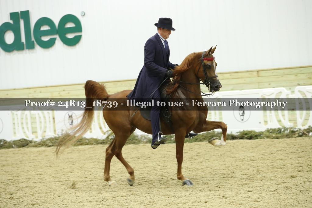 Proof 24R13_18739