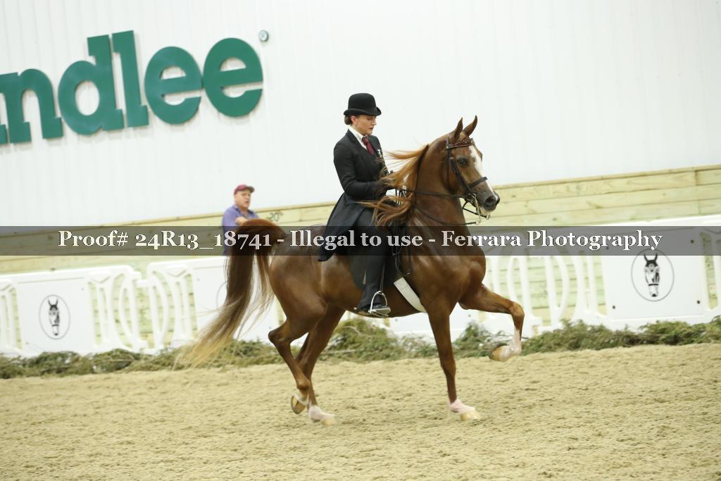 Proof 24R13_18741