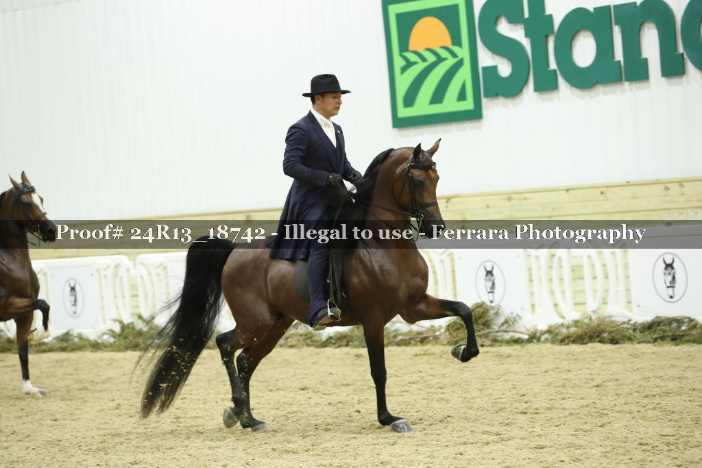 Proof 24R13_18742