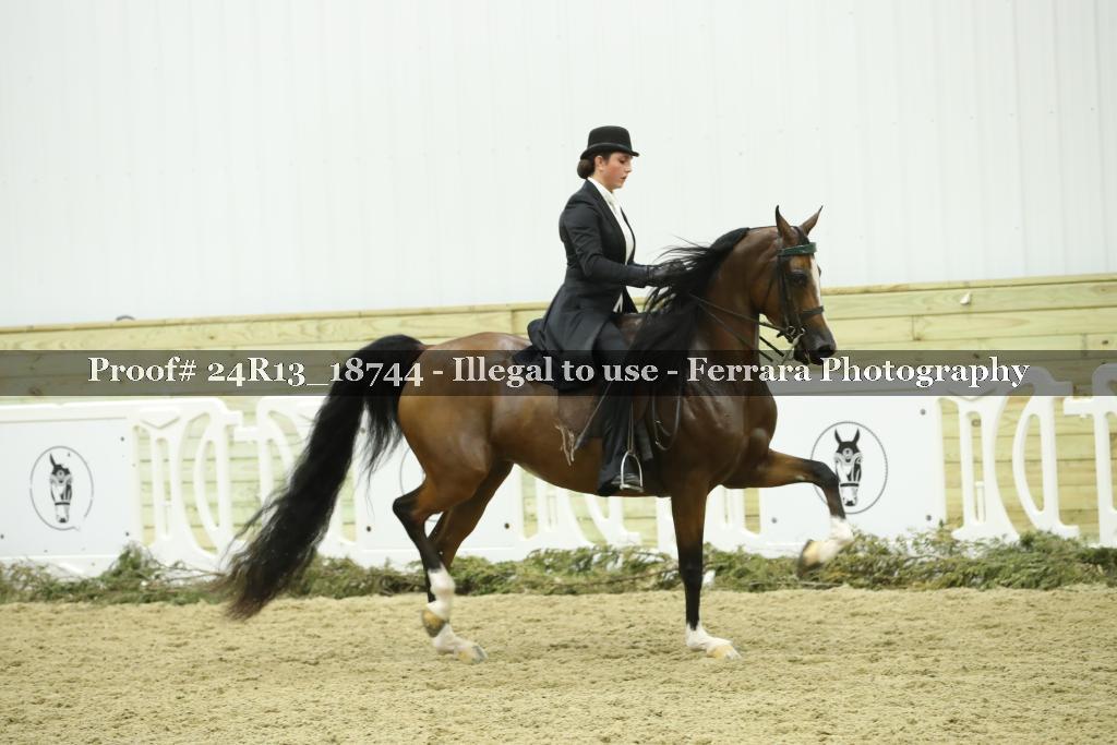 Proof 24R13_18744