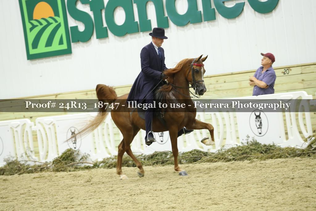 Proof 24R13_18747