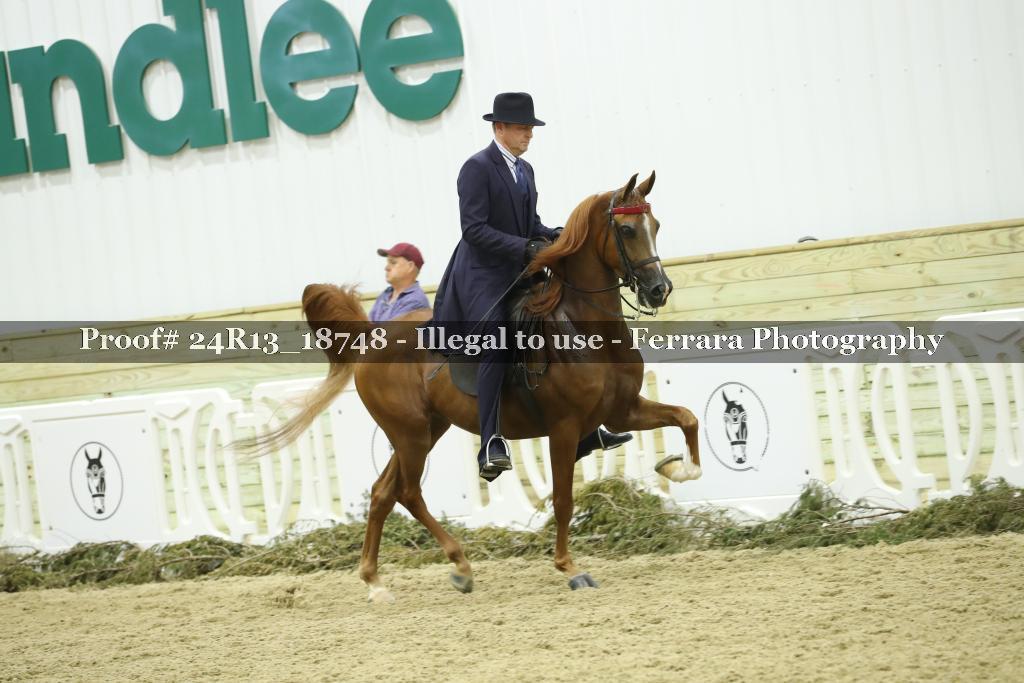 Proof 24R13_18748