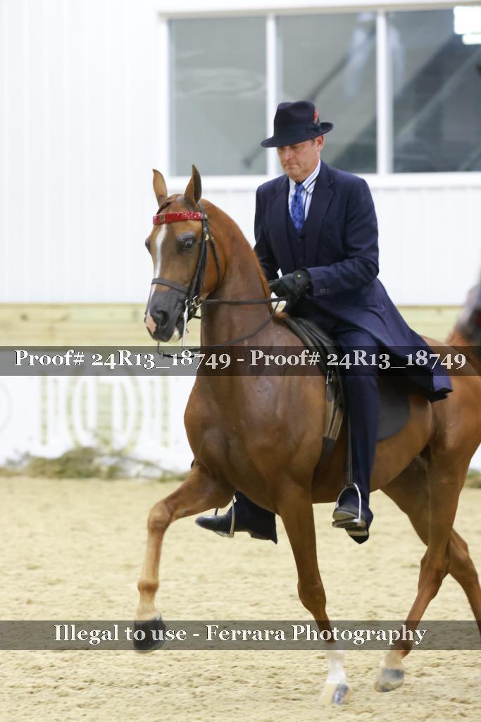 Proof 24R13_18749