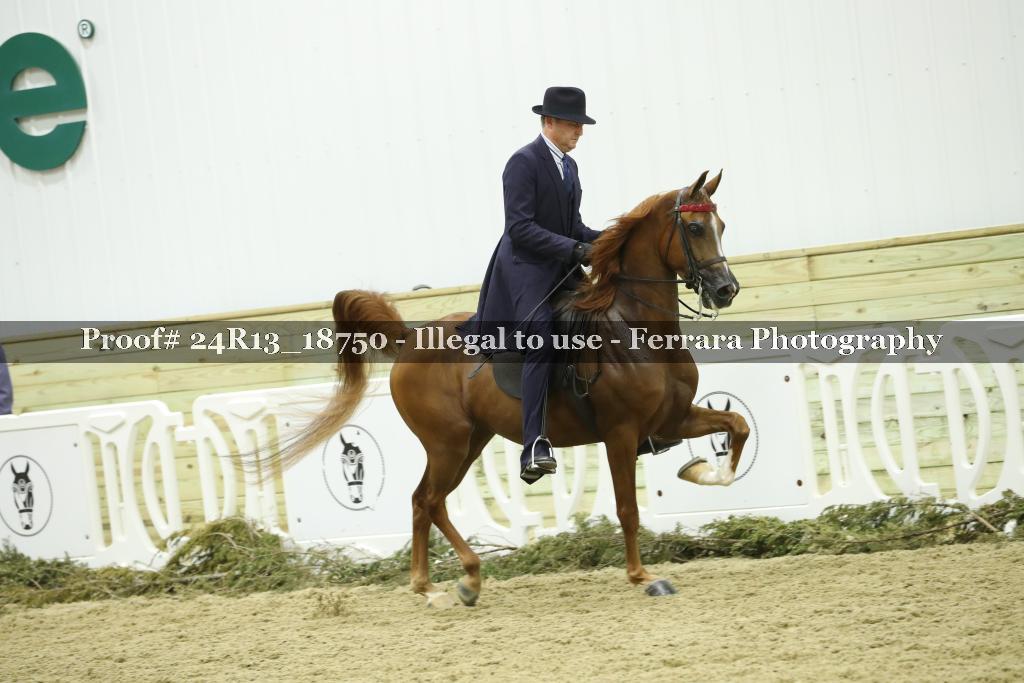 Proof 24R13_18750
