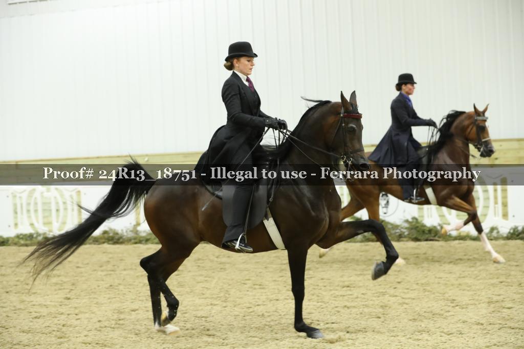 Proof 24R13_18751