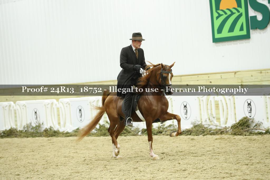 Proof 24R13_18752